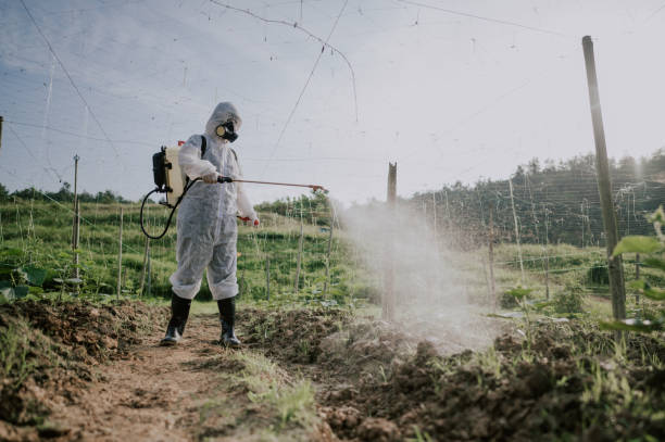Best Ant Control Services  in Centerville, TN