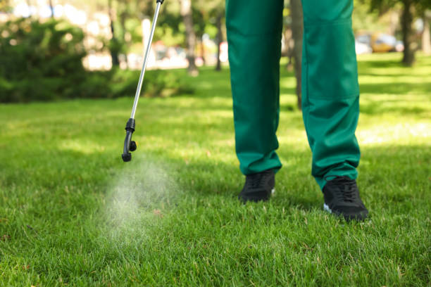 Best Best Pest Control Companies  in Centerville, TN