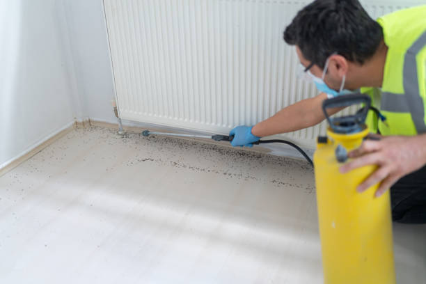 Reliable Centerville, TN Pest Control Solutions