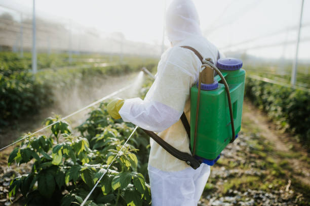 Best Residential Pest Control  in Centerville, TN